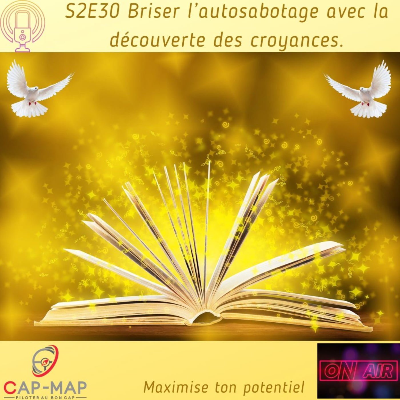 Briser l’auto-sabotage  avec la découverte des croyances Niveaux logiques 4